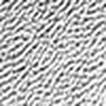 Charisma Kitten Heel - Image 99