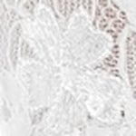 Draya Open Toe Mid Heel Mules - Image 92