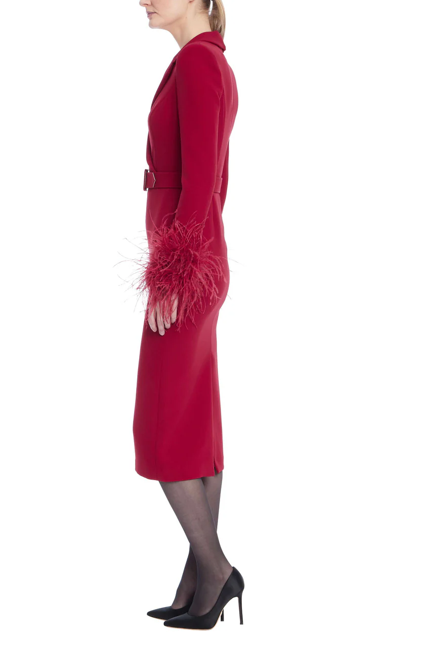 Feather Trim Belted Sheath Dress - Image 5