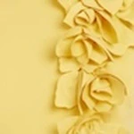 Floral Appliqué Cap sleeve Midi Dress - Image 25