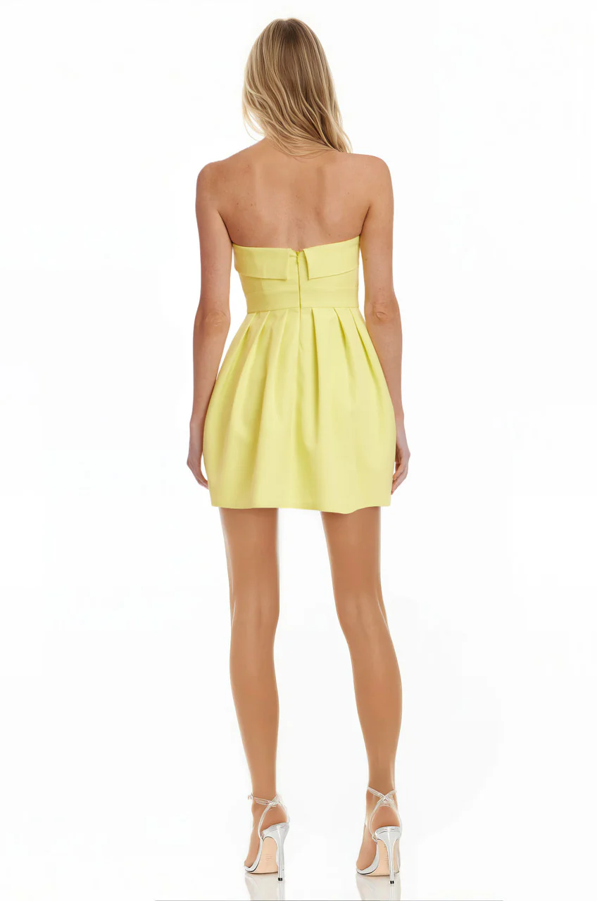 Gael Strapless Fit and Flare Mini Dress - Image 3