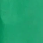 Hallie Pleated Cotton Poplin Midi Dress - Image 50