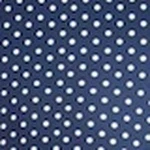 Iyla Polka Dot Fit and Flare Mini Dress - Image 14