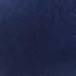 Jailene Ankle Strap Stiletto - Image 98