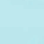 Luxe Floral Lace Thong - Image 106