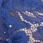 Luxe Floral Lace Thong - Image 98