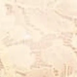 Luxe Floral Lace Thong - Image 99