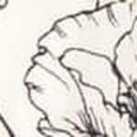 Luxe Satin Notched Collar Short Pajama Set - Image 61