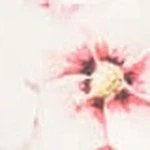 Luxe Satin Notched Collar Short Pajama Set - Image 62