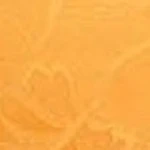 Luxe Sparkle Lace Bikini Bodysuit - Image 34