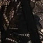 Luxe Sparkle Lace Bralette and Brief Set - Image 17