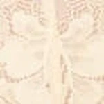 Luxe Sparkle Lace Brief - Image 35