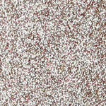 Mayra Ankle Strap Evening Shoe - Image 109