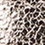 Ohara Minimalist Crystal Adorned Flats - Image 78