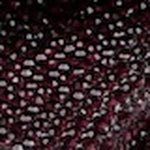 Remi Statement Kitten Heel - Image 127