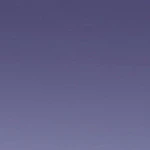 Severine Sunglasses - Image 10