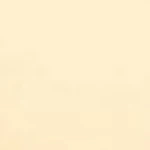 Yummy Baby Rib Scallop Thong - Image 52