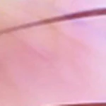 Zelie Sunglasses - Image 14