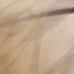 Zelie Sunglasses - Image 15